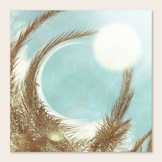 Hold Me Canvas Print