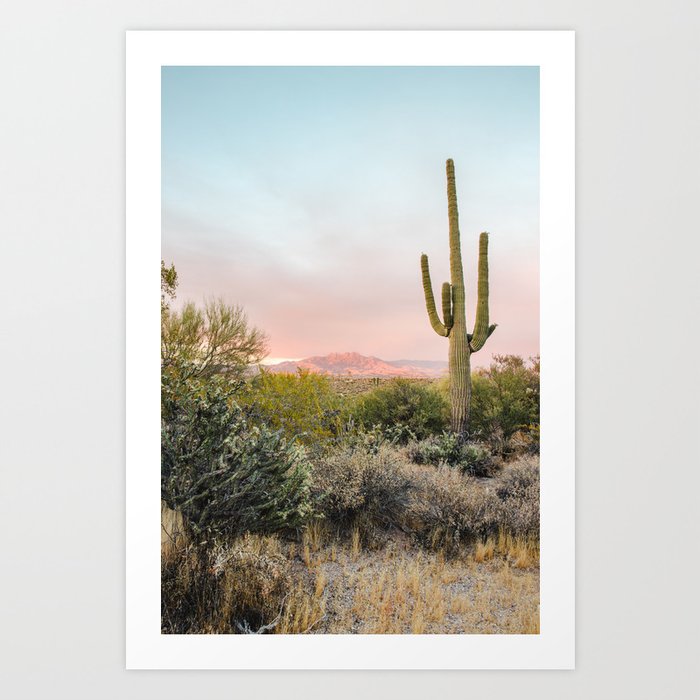 Desert Mountains Saguaro Cactus Blue & Pink Sunset Phoenix Arizona Art Print