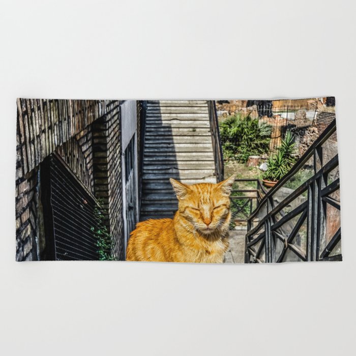 Argentina Photography - Beautiful Orange Cat Standing At The Stone Stairs Beach Towel