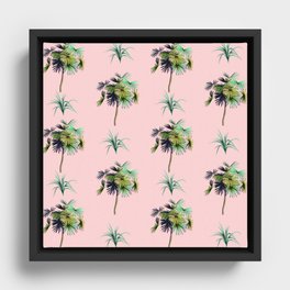 Palm Pink Framed Canvas
