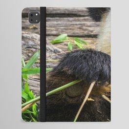 China Photography - Cute Panda Eating Grass And Plants iPad Folio Case