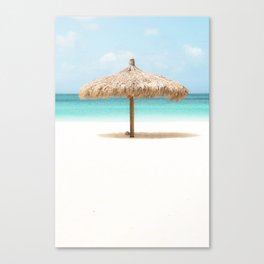 Travel Photography "Wood, Water, Air, Earth' photo art made in Caribbean Aruba. Art print. Canvas Print