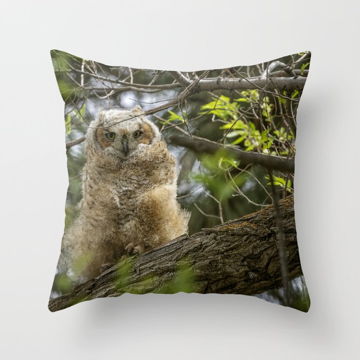 Throw Pillow