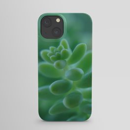 Succulent _004 iPhone Case