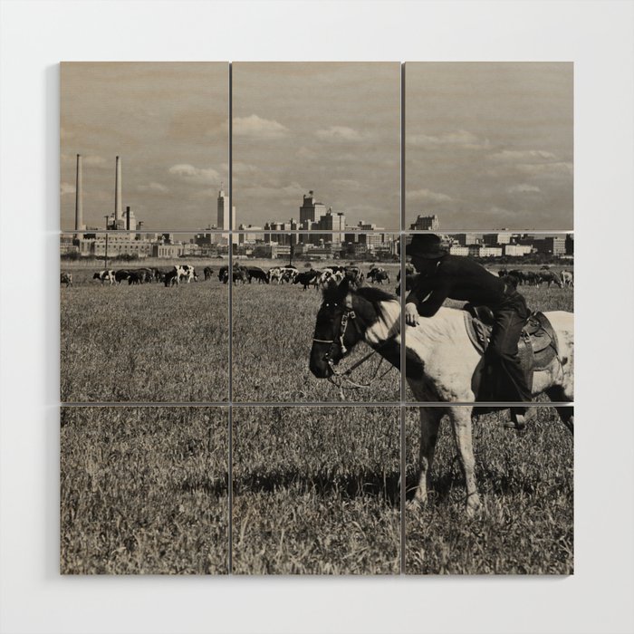 Cowboy Watching Over A Herd Of Cattle - Dallas Texas 1945 Wood Wall Art