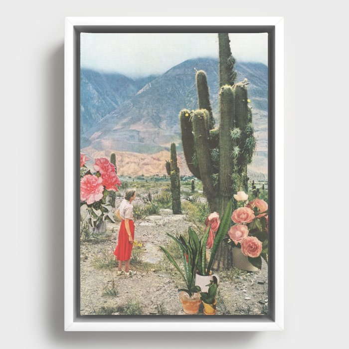 Framed Canvas