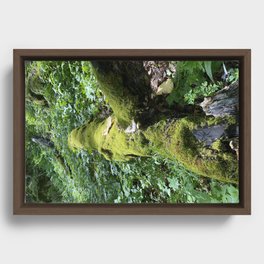 Cedar Trail Moss Log Framed Canvas