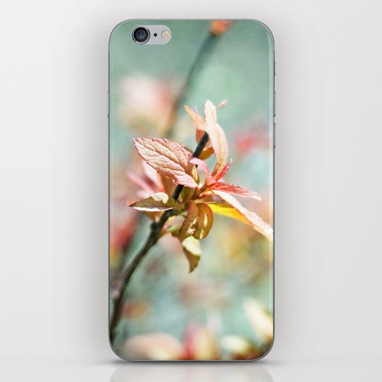 Color Bloom iPhone Skin
