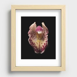Orchid Recessed Framed Print