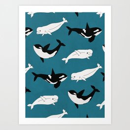 Belugas & Orcas on Teal Art Print