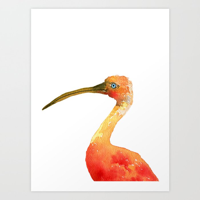 Watercolor Red Ibis Bird Art Print By Artumeprints Society6