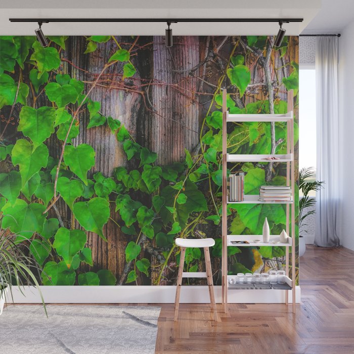 closeup green ivy leaves with wood wall background Wall Mural