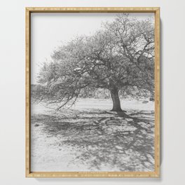 Oak Tree - West Texas Photography Serving Tray