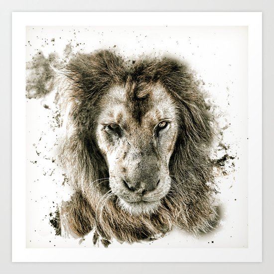 LION 3 Art Print