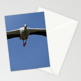 White Stork (Ciconia ciconia) Bird Wings Flapping Photograph Stationery Card