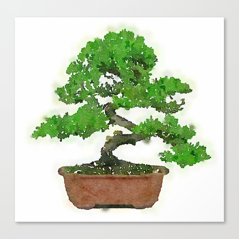 Japanese Bonsai Tree Canvas Print By Mozayix Society6