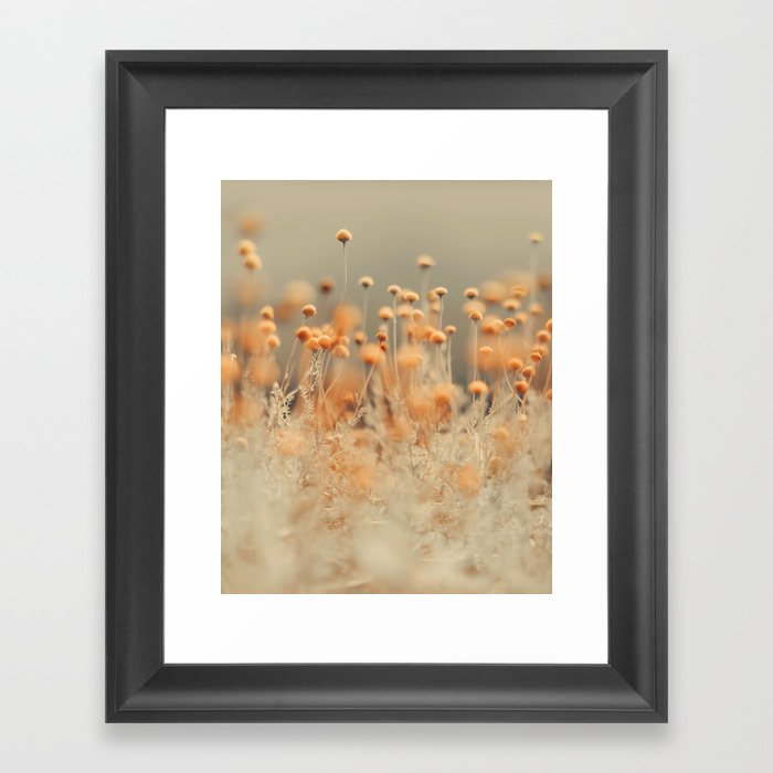 Mustard Yellow Flowers - Flower photography by Ingrid Beddoes Framed Art Print