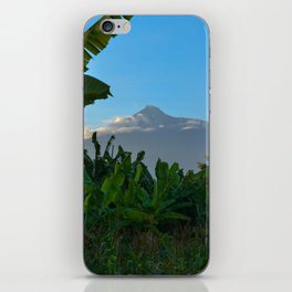 South Africa Photography - Dense Jungle In Front Of A Big Mountain iPhone Skin