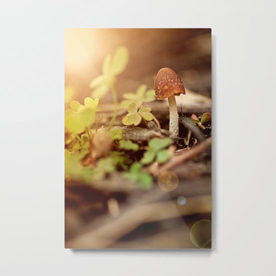 "I am...a mushroom on whom the dew of heaven drops now and then" --John Ford Metal Print