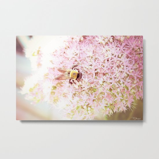Nature of a Bee Metal Print