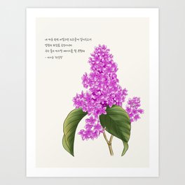 Lilac flower with lilac Lyrics Art Print
