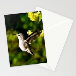 Anna's Hummingbird and Blossoms Stationery Card