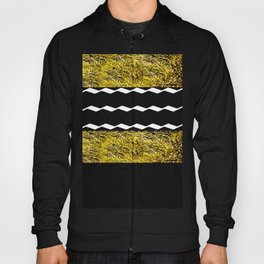 Black and Gold Glamour Pattern Hoody