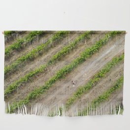 Mama kissing baby in the grape vines - Aerial Drone Art Wall Hanging