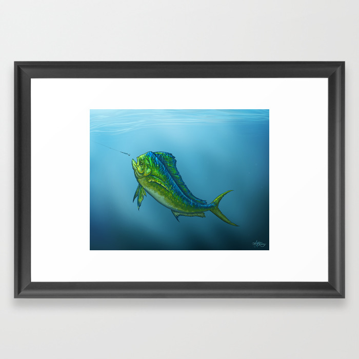 El Dorado By Amber Marine Mahi Mahi Dolphin Fish Art Copyright 2015 Framed Art Print By Aroseart Society6