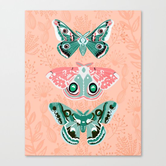 Lepidoptery No. 3 by Andrea Lauren Canvas Print