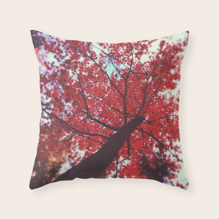 Throw Pillow