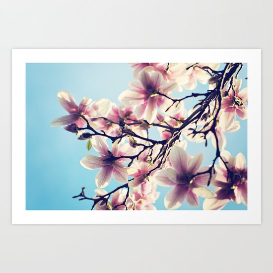 May Magnolias Art Print