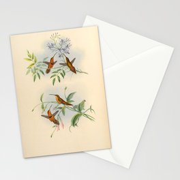 Belted Hermit and Bishop Hermit Hummingbirds by John Gould, 1861 (benefiting the Nature Conservancy) Stationery Cards | Birds, Nature, Painting, Science, Naturalhistory, Trees, Vintage, Flowers 