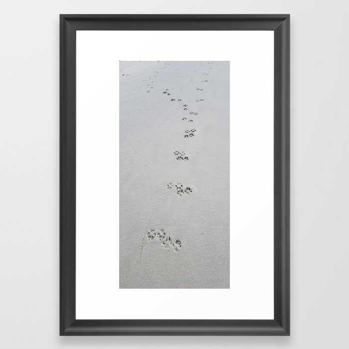 Dog Beach Framed Art Print
