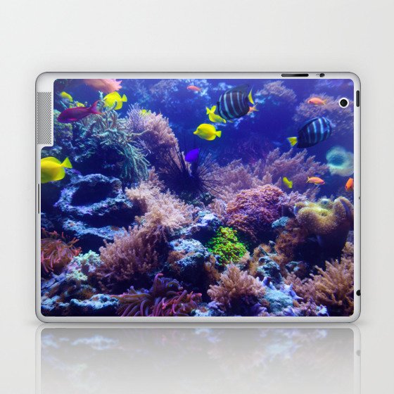 Underwater Photography Fish Tank Laptop & iPad Skin