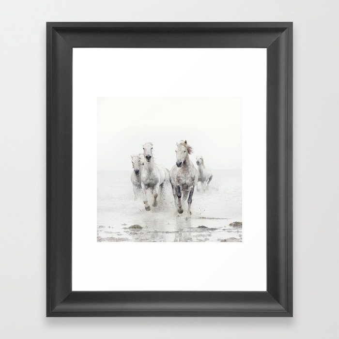 Camargue White Horses Running in Water - Nature Photography Framed Art Print