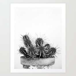 Nature IV cactus Art Print