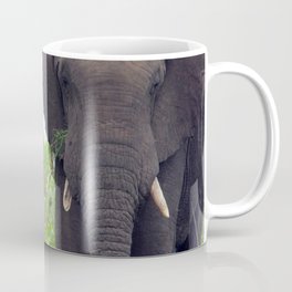 South Africa Photography - Elephant Walking Through The Forest Mug