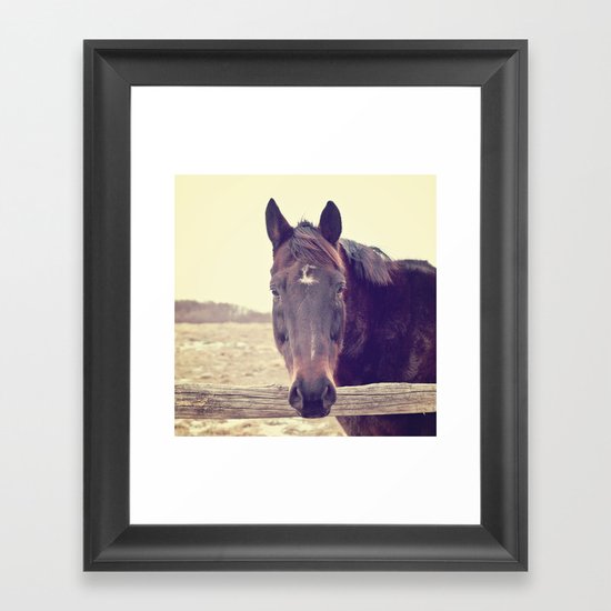 Hello Horse Framed Art Print
