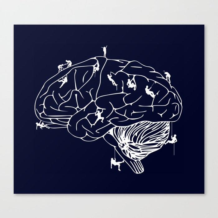 Climbing On The Brain Canvas Print