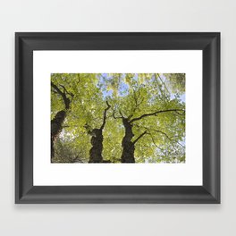 All About Light Framed Art Print