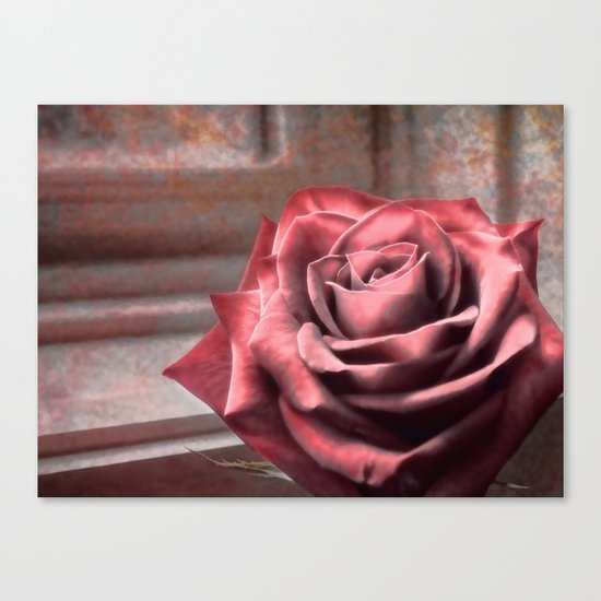 Love Is A Rose Canvas Print