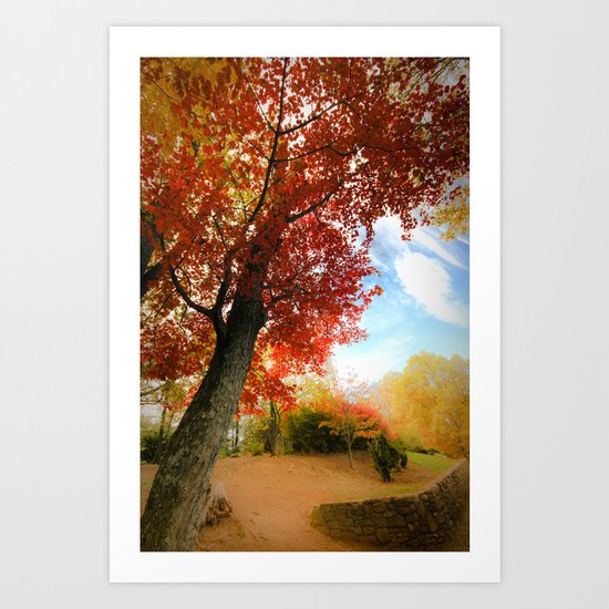 Autumn Tree Scene Art Print