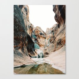 Red Reef Canvas Print