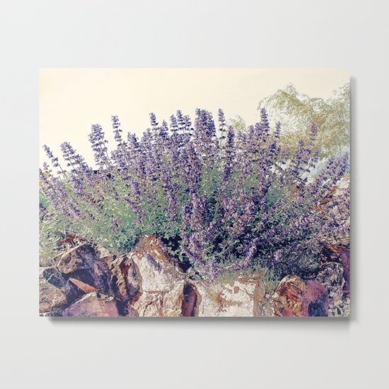 Lavender And Stone Metal Print
