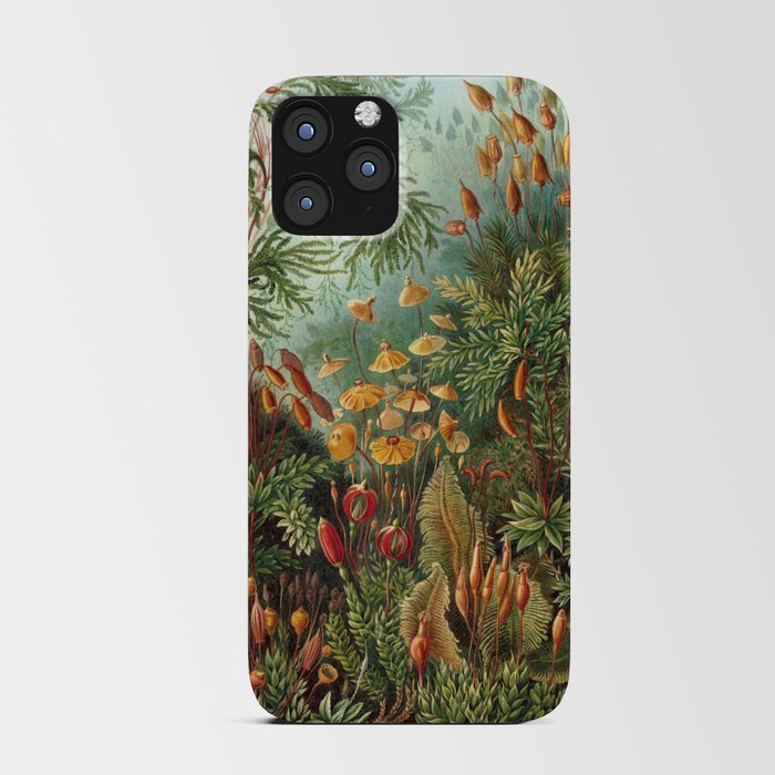 Ernst Haeckel Muscinae Microscopic Landscape iPhone Card Case