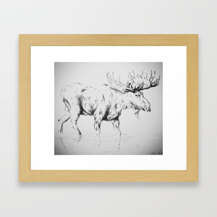 Moose Framed Art Print