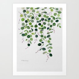 Eucalyptus Foliage 3 Art Print
