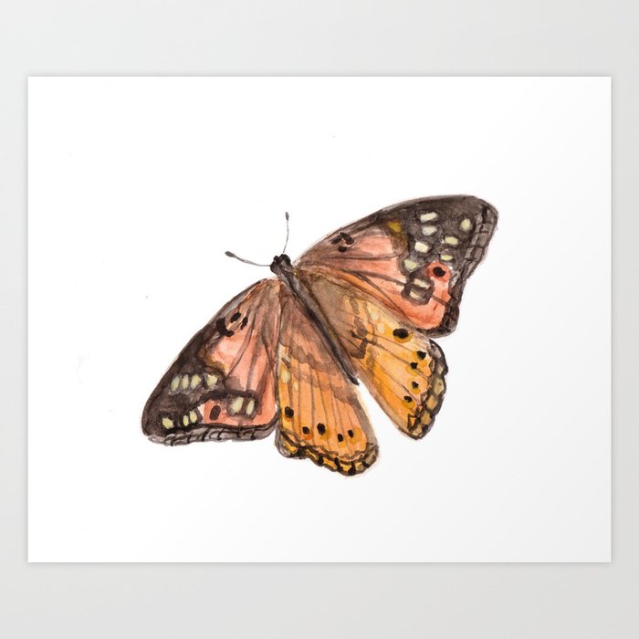 Orange Butterfly Art Watercolor Butterfly Nature Painting Pink
