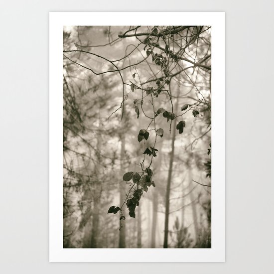 "Into the woods VI" Art Print